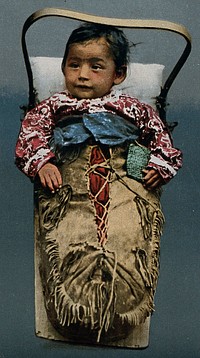 An Indian papoose in a baby carrier. Colour process print, 1903.