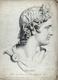 Head of the Apollo Belvedere. Stipple engraving by J.L. Anspach after G.F. Reverdin.