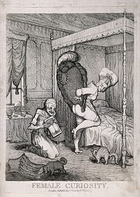 A young woman in her bed chamber trying a wig on her bottom for effect: her maid-servant holds a mirror for her and sniggers with amusement; a cat arches its back in fright and a dog dives for cover under the young woman's corset which is lying on the floor. Etching, 1778.