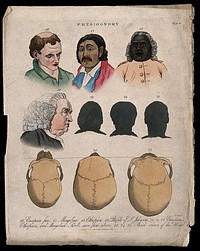 Four faces: a European, a Mongolian, an Ethiopian, and a profile of Samuel Johnson; three frontal silhouettes; three skulls of the same races seen from above (in the order European, Ethiopian and Mongolian). Coloured engraving by J. Pass, 1824.