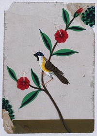 A white, yellow and brown bird with a blue head sitting on a flower street. Gouache painting on mica by an Indian artist.
