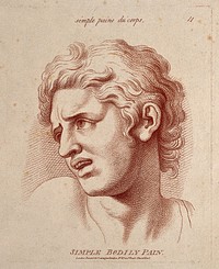 A male face expressing moderate pain. Crayon manner print by W. Hebert, c. 1770, after C. Le Brun.