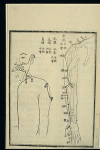 Acu-moxa chart: large intestine channel of hand yangming