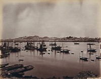 Macao Island: the Inner Harbour and adjacent Macao City, from the Island of Patera. Photograph by W.P. Floyd, ca. 1873.