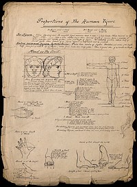 Proportions of the human body: annotated illustrations of the human face, body, hands and feet, with proportions marked. Pen and ink, probably copied from a printed book, 1830/1850.