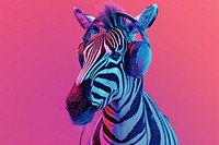Zebra wearing headphones wildlife animal mammal.