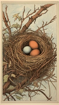 Japanese wood block print illustration of nest egg beginnings fragility.