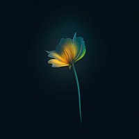 Abstract blurred gradient illustration Wild flower yellow petal plant.