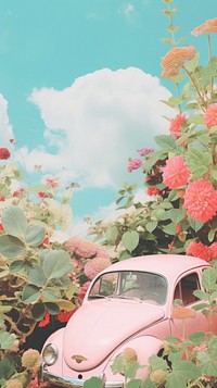 Car outdoors vehicle flower.