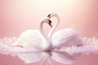 Couple swan on cloud animal bird pink.