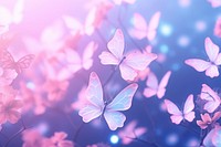 Butterfly and flowers neon backgrounds outdoors purple.