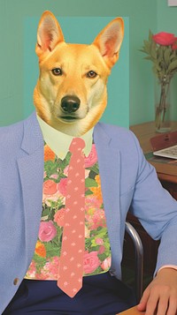 Dog necktie mammal animal.