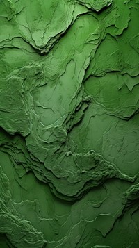 Green algae leaf backgrounds.