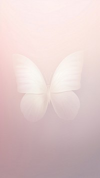 Blurred gradient white butterfly animal petal pink.