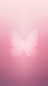 Blurred gradient white butterfly nature petal pink.