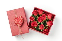 Gift box with bouquet flower plant rose.
