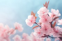 Pink cherry blossom and peony flower outdoors nature plant.