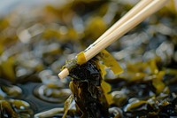Chopstick picking on seaweed food medication freshness.