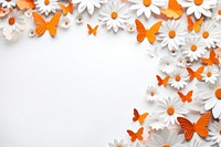Daisy and butterfly floral border backgrounds pattern flower.