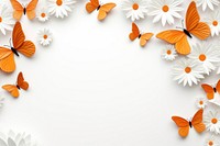 Daisy and butterfly floral border backgrounds flower insect.