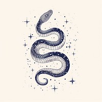 Snake celestial reptile drawing line.