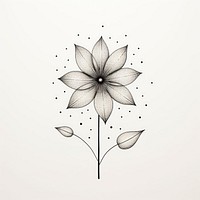 Flower drawing pattern sketch.