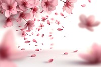 Sakura blossom flower petal.
