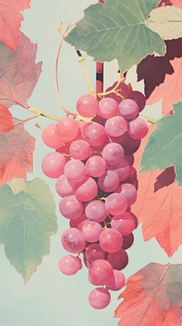 Red grapes craft collage plant leaf vine.