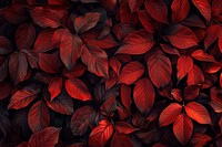 Red leafy texture wallpaper nature plant backgrounds.
