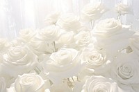 White roses backgrounds wedding flower.