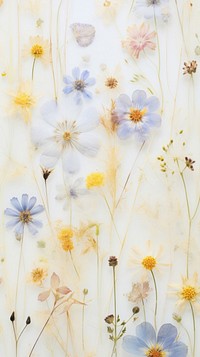 Real pressed wildflowers backgrounds pattern petal.