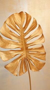 Real pressed gold monstera leaf flower plant wall.