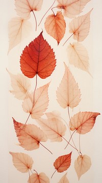 Real pressed red autumn leaves plant leaf art.