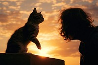 Person play with a cat sunset photography outdoors.