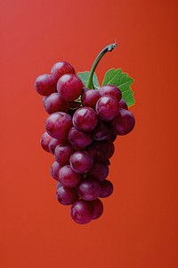 Photo of grape grapes fruit plant.