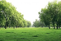 Green park landscape panoramic outdoors.