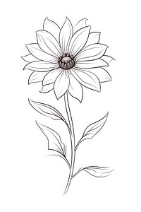 A flower drawing pattern sketch.