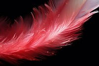 Flamingo bird feather sparkle light glitter backgrounds black background lightweight.