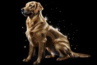 Golden retriever dog sparkle light glitter animal mammal black.