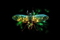 Forest fireflies sparkle light glitter insect animal nature.