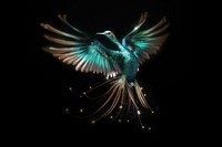 Resplendent quetzal sparkle light glitter hummingbird animal flying.