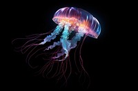 Jellyfish sparkle light glitter animal black background invertebrate.