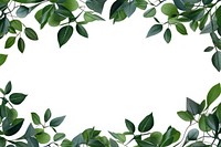 Natural green leaves backgrounds outdoors pattern.