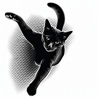 Cat jumping monochrome animal mammal.