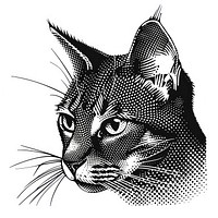 Cat monochrome drawing animal.