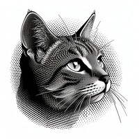 Cat monochrome drawing animal.