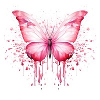 Pink butterfly pattern petal white background.