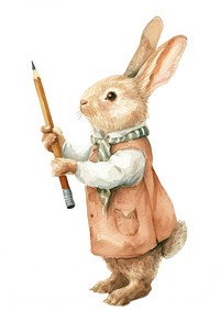 Little cute rabbit watercolor holding animal mammal.