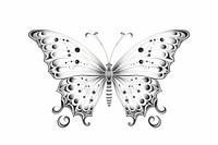 Illustration of butterfly drawing sketch white.