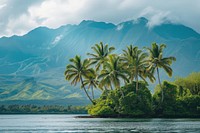 Remote tropical island paradise tree landscape mountain.